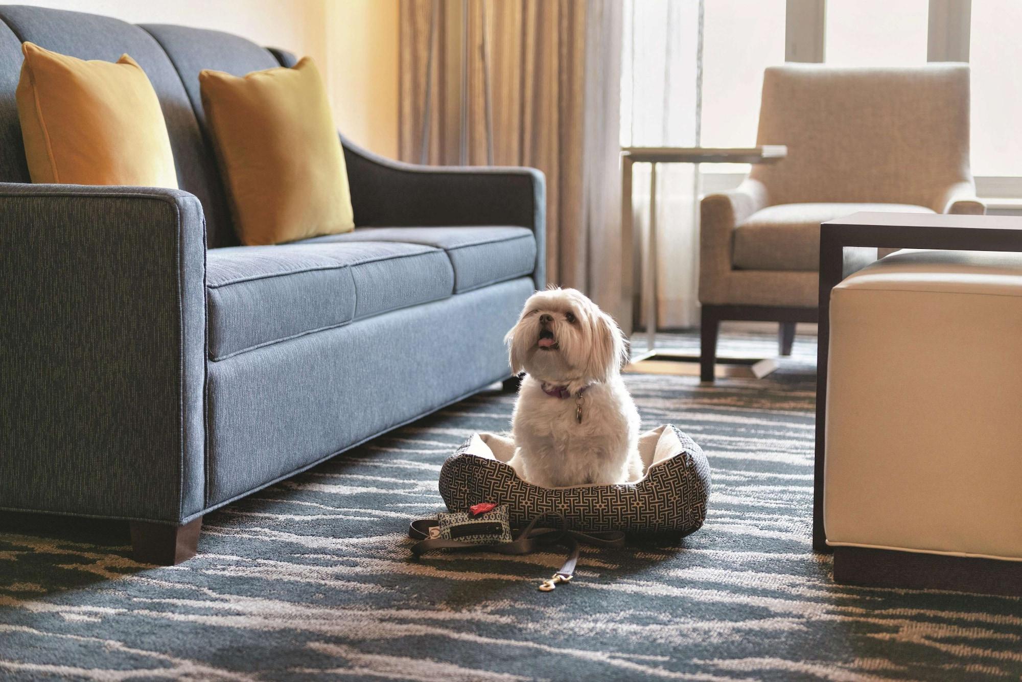 Homewood Suites By Hilton-Seattle Convention Center-Pike Street Eksteriør bilde